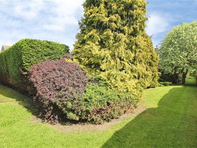 Picture 19